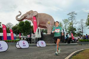 BIB: 
                            <button type="button" onclick="openModal(26528954)" class="btn btn-primary btn-sm float-right btn-popup" data-toggle="modal" data-target=".modal-high-quality">
                        <i class="fas fa-shopping-cart"></i> Add to Cart
                    </button>
                                            <button type="button" onclick="isThisMe(26528954, true)" class="btn btn-success btn-sm float-right btn-popup btn-isme hidden" data-toggle="tooltip" data-placement="bottom" title="นี่คือรูปของคุณใช่ไหม คลิกที่นี่เพื่อเอาเข้าอัลบั้ม">
                        <i class="fas fa-plus"></i> Add to album
                    </button>
                    <button type="button" onclick="isThisMe(26528954, false)" class="btn btn-warning btn-sm float-right btn-popup btn-isnotme hidden">
                        <i class="fas fa-ban"></i> Remove from album
                    </button>